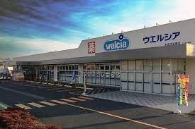 ドラックストア　ウエルシア児玉南店（ドラッグストア）まで1100m