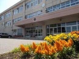 小学校　札幌市立平和小学校（小学校）まで323m