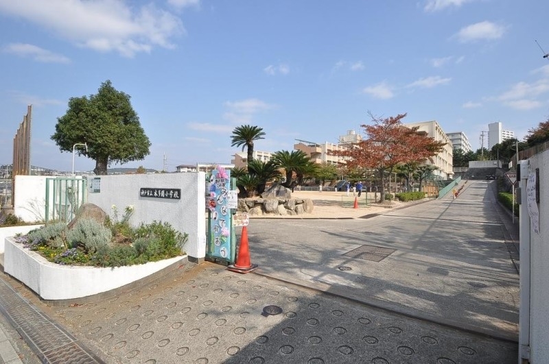 小学校　神戸市立本多聞小学校（小学校）まで931m