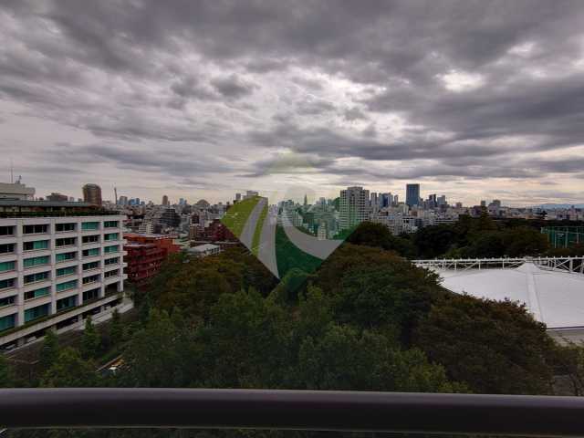 眺望　日神パレステージ目白