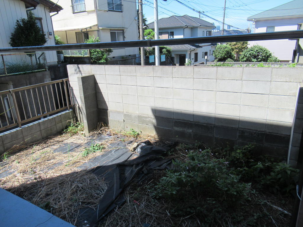 庭
