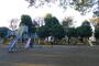 公園　富士見公園（公園）まで1000m