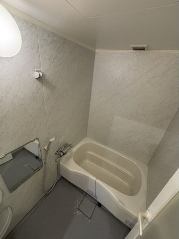 バス・シャワールーム　※写真は同じマンションの違う部屋のものになります。