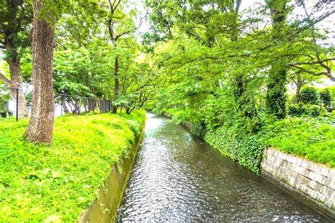 公園　玉川上水緑道（公園）まで208m