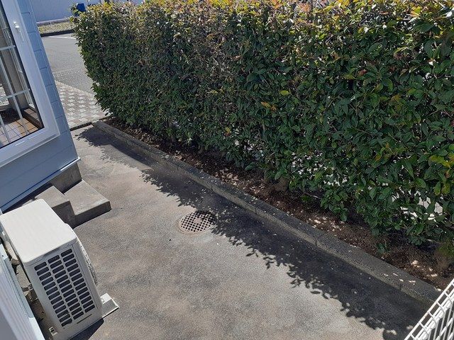 庭