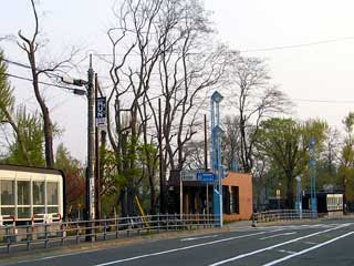公園　中島公園(幌平橋駅側)（公園）まで688m