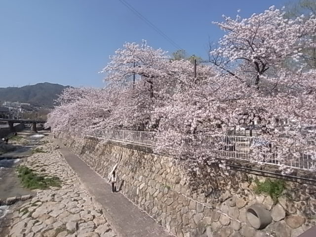 公園　都賀川（公園）まで457m