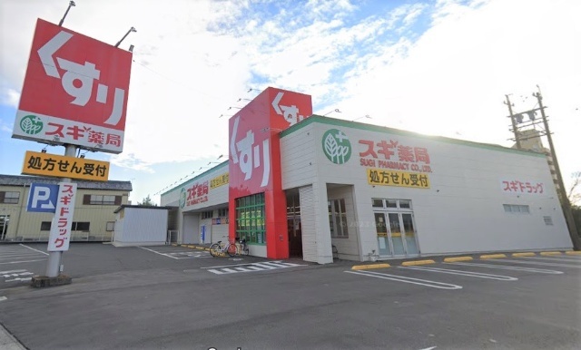 ドラックストア　スギ薬局河和店（ドラッグストア）まで1982m