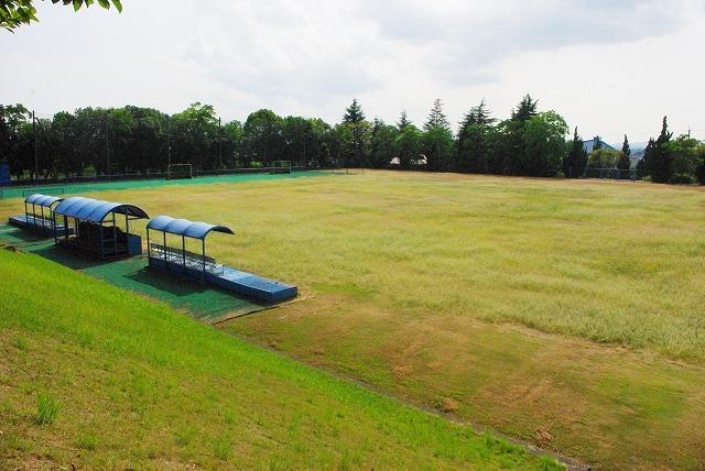 大学・短大　天理大学　ホッケー部（大学・短大）まで1808m