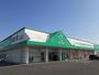 ドラックストア　ザグザグ白石店（ドラッグストア）まで800m