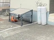 その他共有部分　※別部屋参考写真