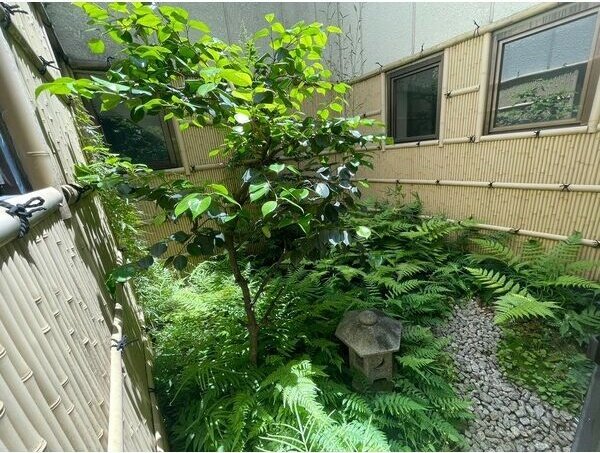 庭