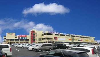 ショッピングセンター　フレスポ東大阪（ショッピングセンター）まで901m
