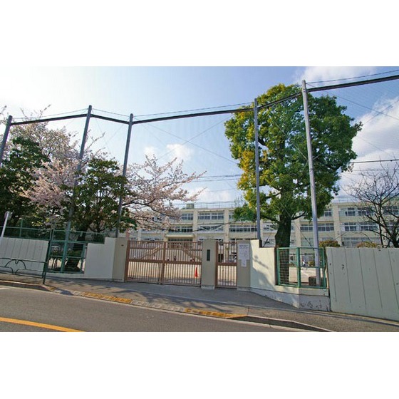 中学校　杉並区立荻窪中学校（中学校）まで442m