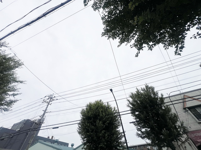 眺望　～ヤッホー～