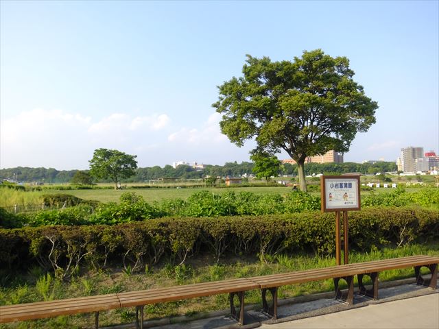 公園　小岩菖蒲園（公園）まで1310m