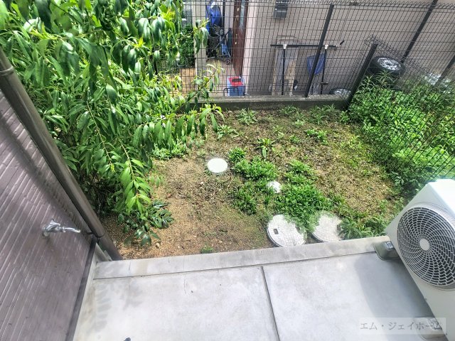 庭