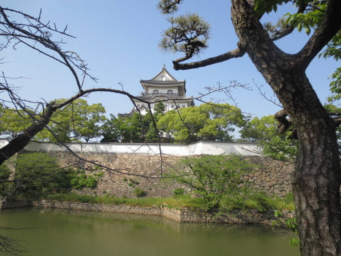 公園　千亀利公園（公園）まで300m