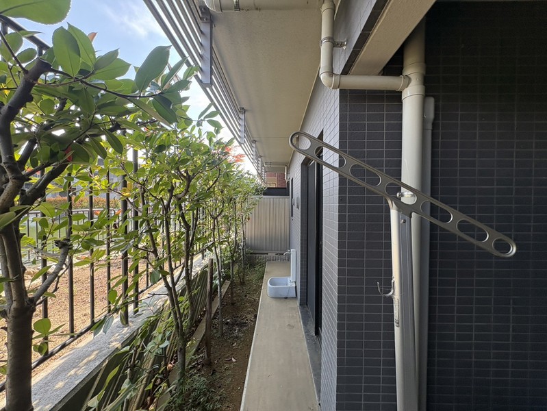 庭