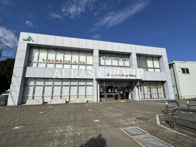 銀行　ＪＡとうかつ中央 松戸南支店（銀行）まで815m