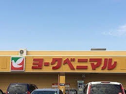 スーパー　ヨークベニマル宇都宮テラス店（スーパー）まで642m