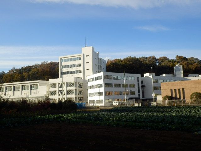 大学・短大　湘北短期大学（大学・短大）まで1543m