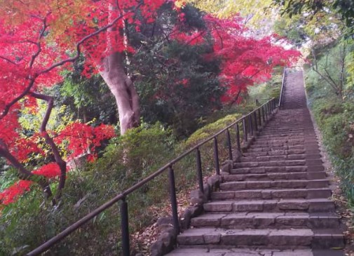 公園　田園調布せせらぎ公園（公園）まで438m