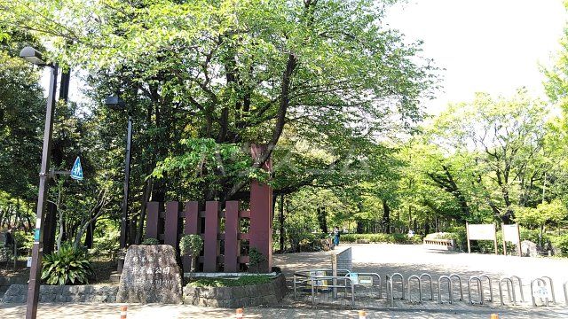 公園　杉並区立井草森公園（公園）まで730m