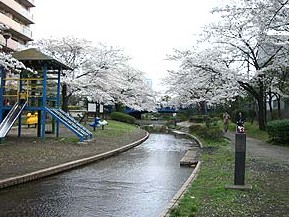 公園　大横川親水公園（公園）まで660m