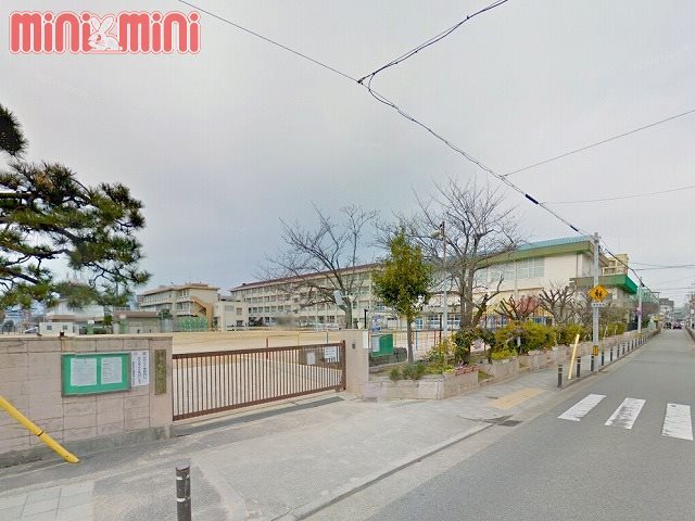 小学校　西宮市立鳴尾東小学校（小学校）まで234m