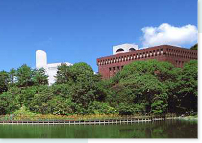大学・短大　日本経済大学（大学・短大）まで1304m