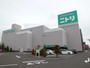 ホームセンター　ニトリ厚別店（ホームセンター）まで447m
