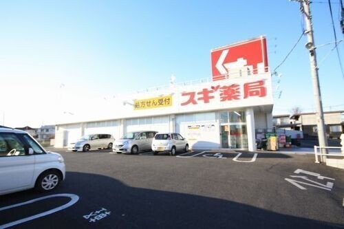 ドラックストア　スギ薬局大宮堀崎店（ドラッグストア）まで517m