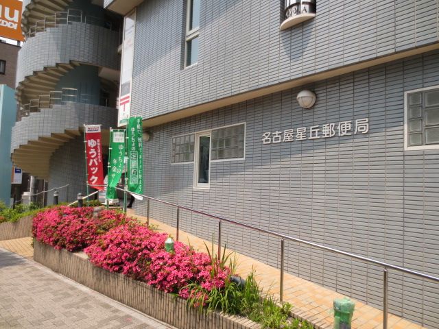 郵便局　星丘郵便局（郵便局）まで370m
