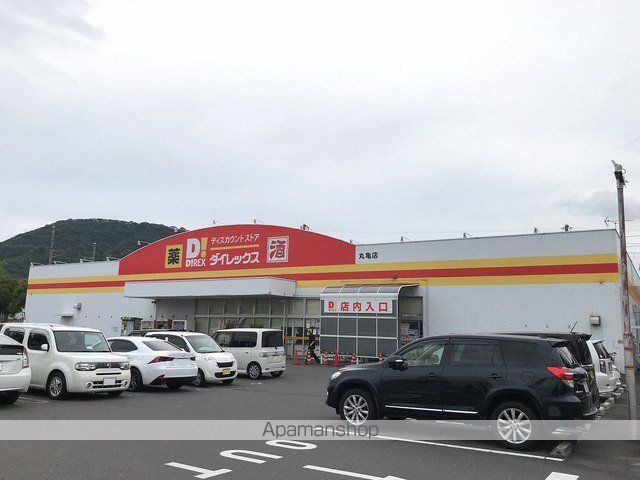その他　ダイレックス丸亀店（その他）まで1100m