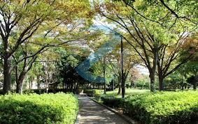 公園　清新町緑地（公園）まで890m