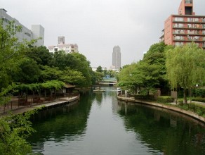 公園　横十間川親水公園（公園）まで552m