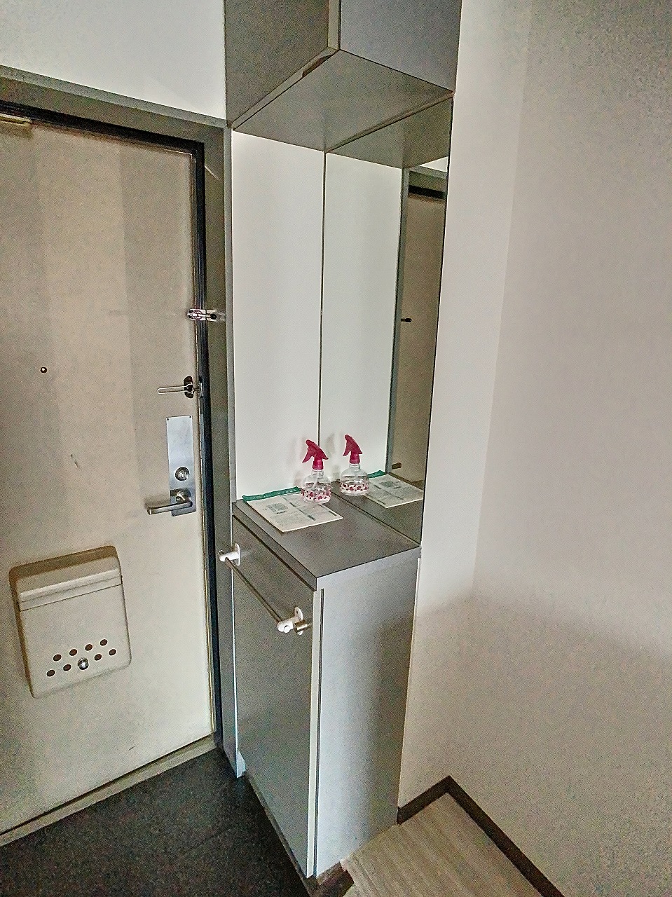 玄関　203号室の写真です。