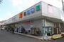 ドラックストア　ウエルシア川崎平間店（ドラッグストア）まで919m