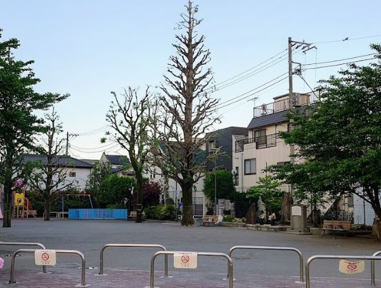 公園　杉山公園（公園）まで488m