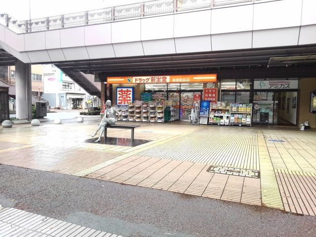 ドラックストア　ドラッグ新生堂高宮駅前店（ドラッグストア）まで550m