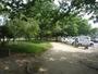 公園　青葉公園（公園）まで1387m