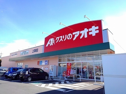 ドラックストア　クスリのアオキ上厚崎店（ドラッグストア）まで1100m