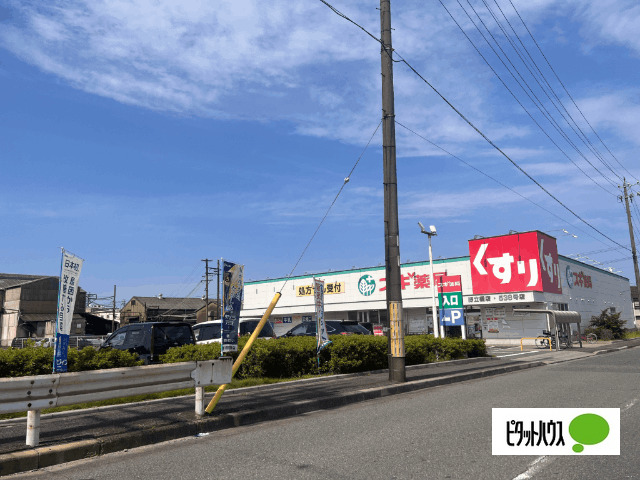 ドラックストア　スギ薬局野立橋店（ドラッグストア）まで176m