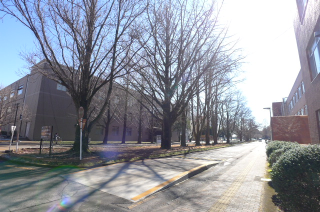 大学・短大　国立宇都宮大学（大学・短大）まで289m