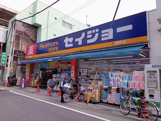 ドラックストア　セイジョー蓮根店（ドラッグストア）まで455m