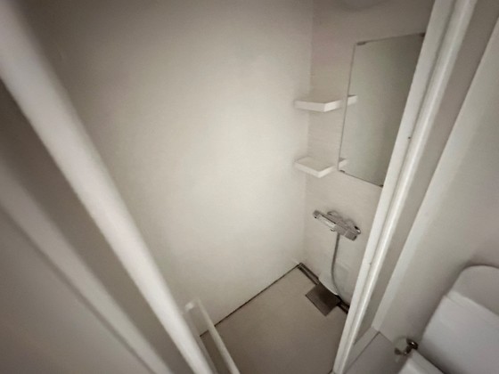 バス・シャワールーム　※別部屋の写真です