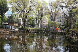 公園　鍋島松濤公園（公園）まで1099m