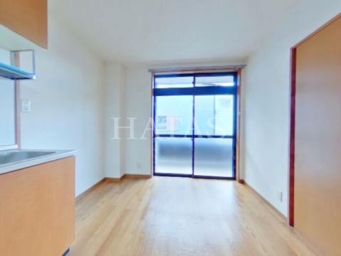 居室・リビング　同物件別部屋です。