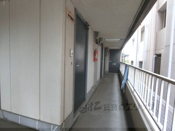 エントランス　通路